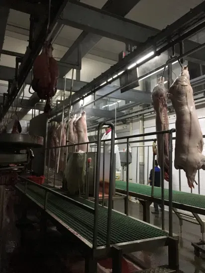 Machine d'épilation de pieds de trotteurs de porc de chèvre